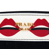 Prada City Calf and Saffiano Lip Print Esplanade Crossbody Secondhand