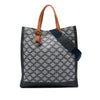 Celine Triomphe Canvas Vertical Tote Secondhand