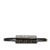 Dior Oblique Canvas 30 Montaigne 2 in 1 Pouch Secondhand