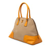 Prada Cinghiale Trimmed Canapa Dome Handbag Secondhand