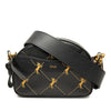 Chloé Studded Calfskin Embroidered Little Horses Crossbody Secondhand