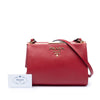Prada Saffiano and City Calf Light Frame Crossbody Secondhand