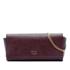 Prada Saffiano and City Calf Bibliotheque Clutch with Chain Secondhand