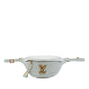Louis Vuitton Calfskin New Wave Bumbag Secondhand
