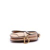 Dior Mini Grained Calfskin Saddle Bag Secondhand
