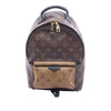 Louis Vuitton Monogram Reverse Palm Springs PM Secondhand
