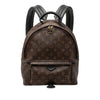 Louis Vuitton Monogram Palm Springs MM Secondhand