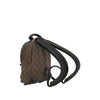 Louis Vuitton Monogram Reverse Palm Springs PM Secondhand