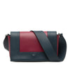 Celine Medium Shiny Smooth Calfskin Frame Shoulder Bag Secondhand