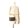 Louis Vuitton Monogram Pochette Accessoires Secondhand