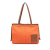 LOEWE Small Canvas Cushion Tote Secondhand
