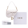 Dior Mini Canvas Embroidered Camouflage Saddle Bag Secondhand