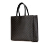 Celine Medium Triomphe Coated Canvas Cabas Horizontal Tote Secondhand