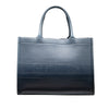 Dior Medium Ombre Embossed Leather Book Tote Secondhand