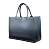Dior Medium Ombre Embossed Leather Book Tote Secondhand