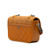 Chanel Small Quilted Iridescent Calfskin and Caviar Daily Carry Flap Secondhand