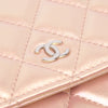 Chanel Quilted Iridescent Lambskin Wallet on Chain Secondhand