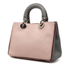 Dior Mini Tricolor Leather Diorissimo Satchel Secondhand