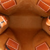 Celine Mini Triomphe Coated Canvas Vertical Cabas Satchel Secondhand