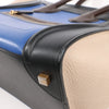 Celine Luggage Mini Leather Handbag in Multicolor Secondhand