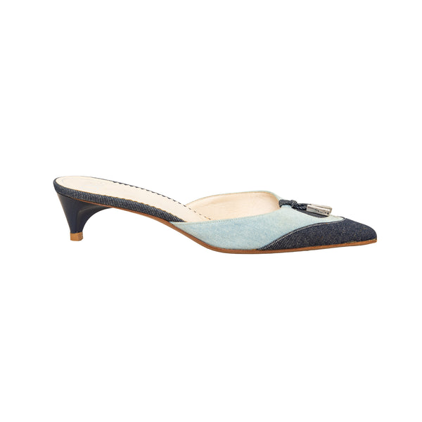 Christian_Dior_Pointed_Toe_Den