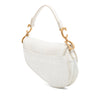 Dior Mini Oblique Embroidered Canvas Saddle Bag Secondhand