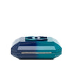 Chanel CC Ombre Acrylic Clutch on Chain Secondhand