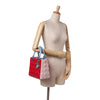 Dior Medium Tricolor Lambskin Cannage Lady Dior Secondhand