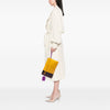 Bottega Veneta Multicolor Nappa Intrecciato Clutch Secondhand