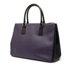 Prada Medium Bicolor Saffiano Lux Galleria Double Zip Satchel Secondhand