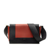 Celine Medium Shiny Smooth Calfskin Frame Shoulder Bag Secondhand