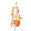 LOEWE Medium Raffia Gate Crossbody Secondhand