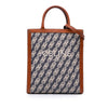 Celine Small Triomphe Canvas Maillon Vertical Cabas Satchel Secondhand