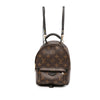 Louis Vuitton Monogram Mini Palm Springs Secondhand