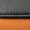 Celine MIni Bicolor Belt Bag Secondhand