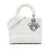 Dior Medium Embroidered Canvas Cannage Lady D Lite Secondhand