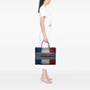 Dior Large Canvas French Flag Book Tote Secondhand