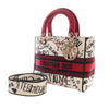 Dior DiorAmour Medium Embroidered Canvas Graffiti Lady D Lite Secondhand