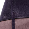 LOEWE Tricolor Goatskin Amazona 36 Secondhand