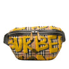 Burberry Large House Check Canvas Graffiti Sony Belt Bag Secondhand