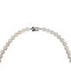 Akoya Necklace Second-hand