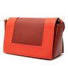 Celine Medium Shiny Smooth Calfskin Frame Shoulder Bag Secondhand