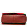 Celine Medium Shiny Smooth Calfskin Frame Shoulder Bag Secondhand