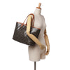 Goyard Goyardine Saint Louis PM Secondhand