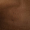 LOEWE Suede Amazona 32 Secondhand