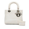 Dior Medium Embroidered Canvas Cannage Lady D Lite Secondhand