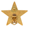 Chanel CC Gold Plated Enamel Star Clip On Earrings Secondhand