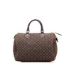 Louis Vuitton Monogram Mini Lin Speedy 30 Secondhand