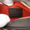 Louis Vuitton Damier Sauvage Tigre Secondhand