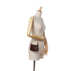 Louis Vuitton Monogram Mini Pochette Accessoires Secondhand